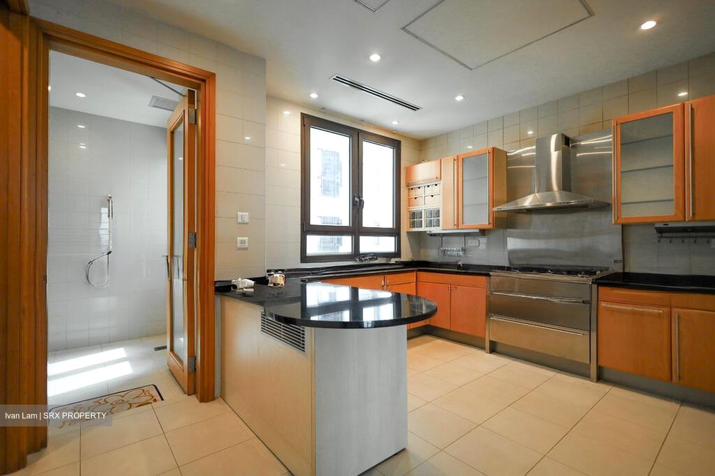 Ardmore Park (D10), Condominium #500168481